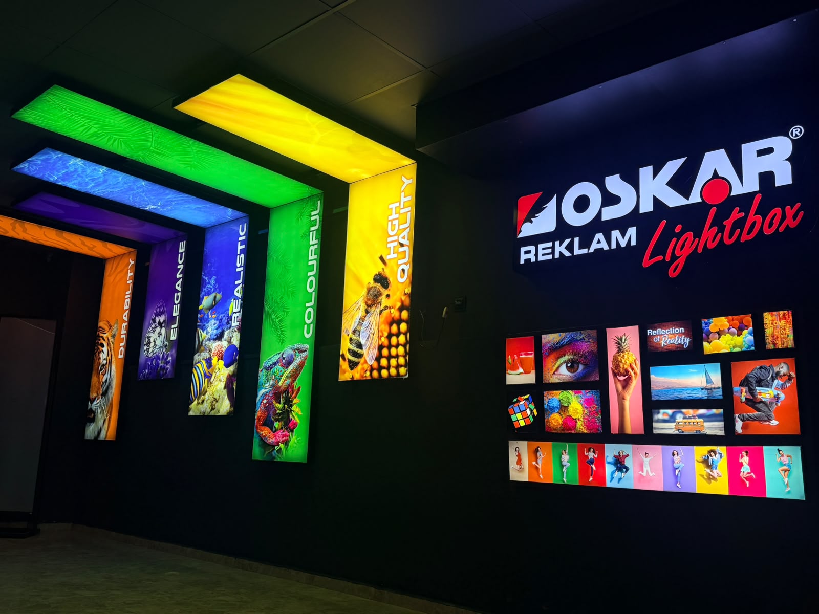 OSKAR LIGHTBOX